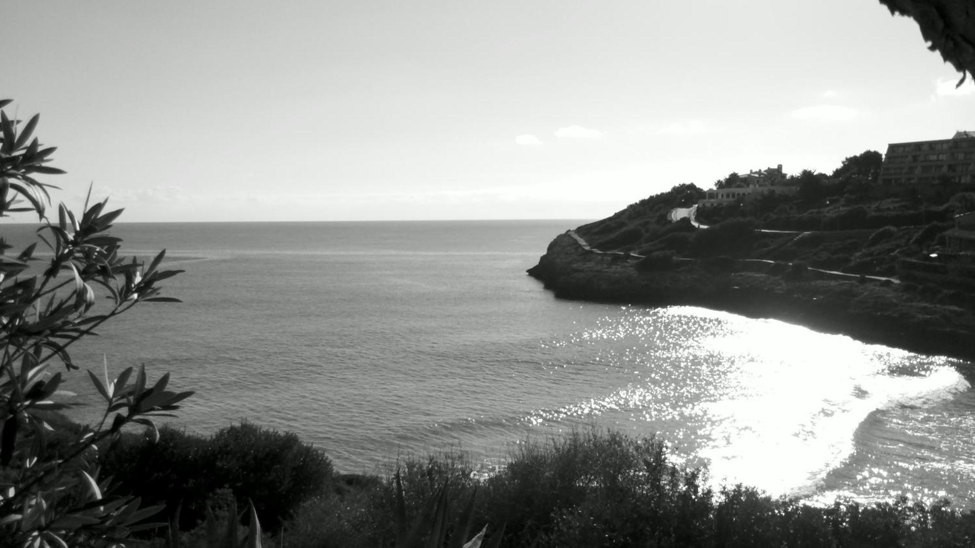 Cala Anguila Apartment *